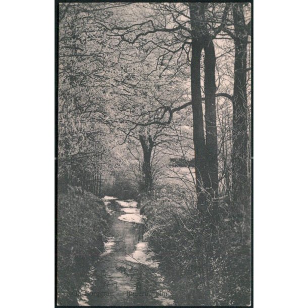 Gl. Borggrav - Buderupholm - Ingeborg Hansen 2913