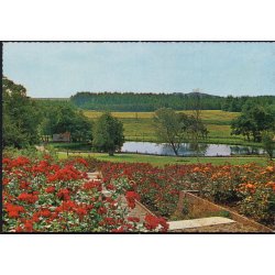 Den jyske Rosenpark - Aalestrup - Jysk Rosenpark 43 611/8