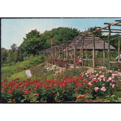 Den jyske Rosenpark - Aalestrup - Jysk Rosenpark 43 611/10