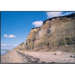 Erteb&oslash;llebjerg - Wadmanns 9373