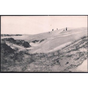 Råbjerg Mile - Laurits Schjeldes 17897