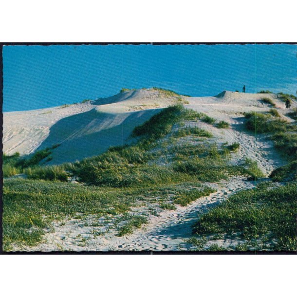 Raabjerg Mile - Grsblls Bogh. 7010