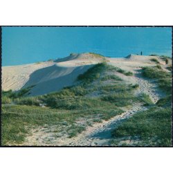 Raabjerg Mile - Einer Nielsens Bogh. 43 620/13