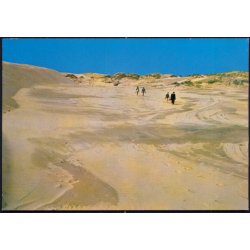 Raabjerg Mile - Viggo Asmussens 302