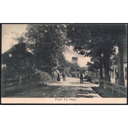 Parti fra Hals - 7699