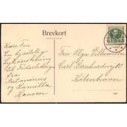 Parti fra Hals - 7699