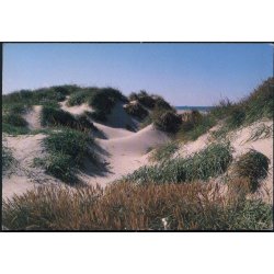 Tversted Strand - Wadmanns 90135