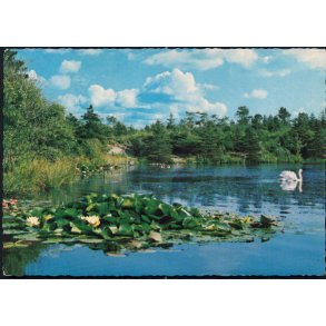 Tversted S&oslash;erne - Havnekiosken 145 610 031