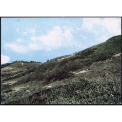 L�s� - Parti fra H�jsande - L. Remmer u/n