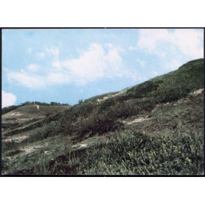 L�s� - Parti fra H�jsande - L. Remmer u/n