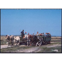 Hestetur p� L�s� - Post DK u/n