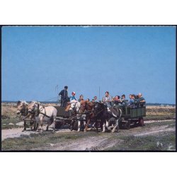 Hestetur p� L�s� - Post DK u/n