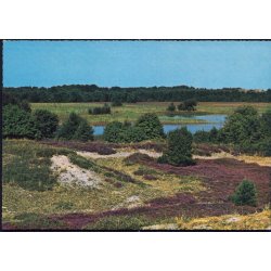 L�s� - Parti fra Folgaars�en - L. Remmer 43 635/9