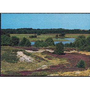 L�s� - Parti fra Folgaars�en - L. Remmer 43 635/9