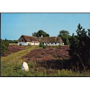 Gl. Tanggaard - L�s� - L. Remmer 143 635 004