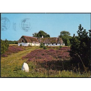 Gl. Tanggaard - L�s� - L. Remmer 143 635 004