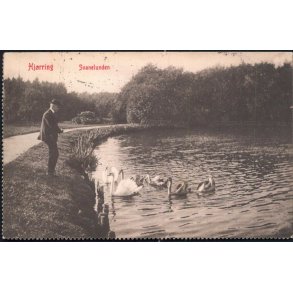 Hj�rring - Svanelunden - Warburgs 5706