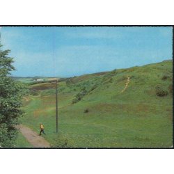 Hj�rring Bjerge - Stender 40 610/10