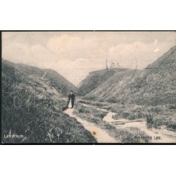 L&oslash;nstrup - B&aelig;kkens L&oslash;b - Alex Vincent 3169