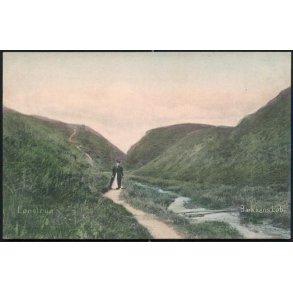 L&oslash;nstrup - B&aelig;kkens L&oslash;b - Alex Vincent 3169