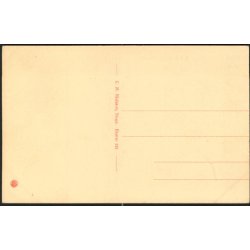 M&oslash;ens Klint - Udsigt fra Dronningestolen - C.M. Nielsen 525