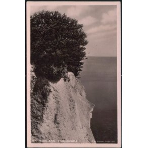 Møens Klint - Vitmundsnakke - C.M. Nielsen 414