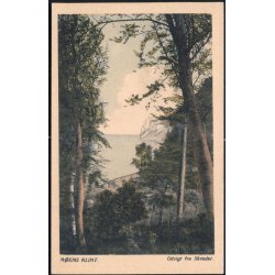 M&oslash;ens Klint - Udsigt fra Skredet - C.M. Nielsen 108