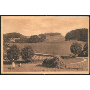 Møens Klint - Parti fra Hunosøgaard - C.M. Nielsen 281