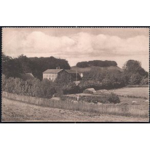 Møens Klint - Hunosøgaard - C.M. Nielsen 301