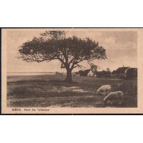 Møen- Parti fra Ulfshale - C.M. Nielsen 503