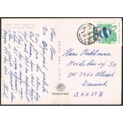 The First Olympics 80 - champion - Interturist u/n