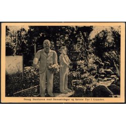 Besg Stenhaven med Stenstninger og Tamme Dyr i Grsten - u/n