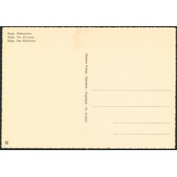 Stege - M&oslash;llebroen - Stender 40 320/7