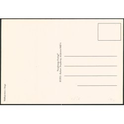 Stege - M&oslash;llebroen - Trojaborg M&Oslash; 6