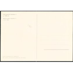 Lille Krigsskib, Skuldelev 5 - Vikingeskibshallerne u/n