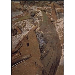 Udgravning af Vikingeskibe i Roskilde Fjord 1962 - Vikingeskibshallerne u/n