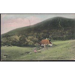 Alsberg ved Lundby Krat - C. St. 3382