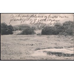 Parti ved Lundby Bakker - Stender 3378