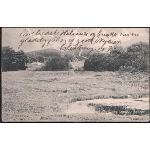 Parti ved Lundby Bakker - Stender 3378