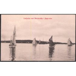 Limfjorden med N&oslash;rresundby i Baggrynden - Hedvig Digmanns u/n