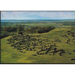 Lindholm H&oslash;je - Top Card 806