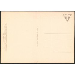 Lindholm H&oslash;je - Top Card 806