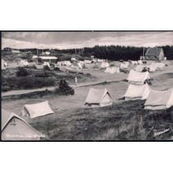 Blokhus - Lejrplads - Stender 220 K