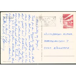 Danland i Blokhus - Wadmanns 8449