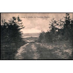 Udsigt til Kullen fra Hornb�k Plantage - M.&amp; J. Bach 3849