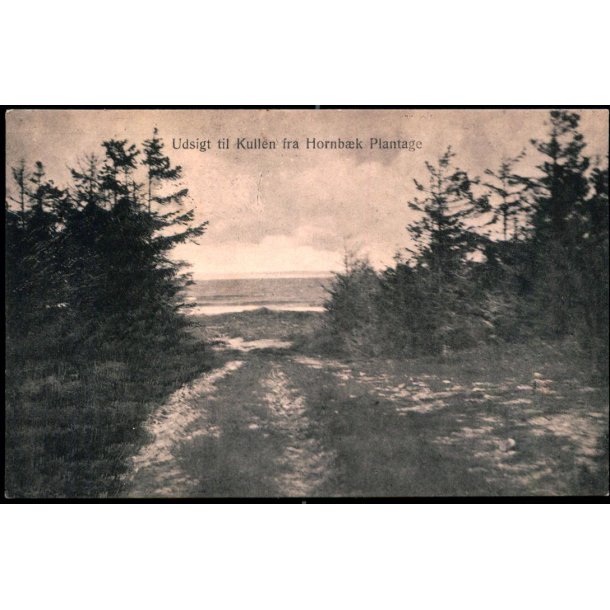 Udsigt til Kullen fra Hornb�k Plantage - M.&amp; J. Bach 3849