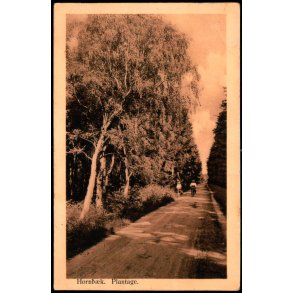 Hornb�k Plantage - Alex Vincent 271