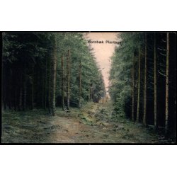 Hornb�k Plantage - Peter Alstrup 5340