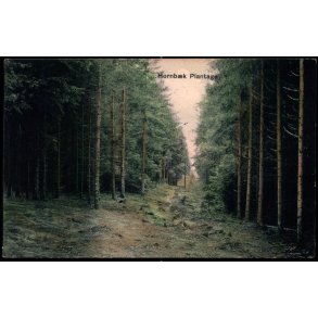 Hornb�k Plantage - Peter Alstrup 5340