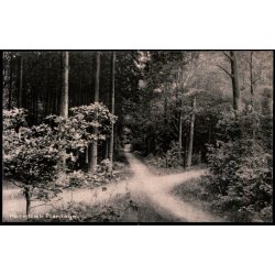 Hornb�k Plantage - Hornb�k Bogh. 69436